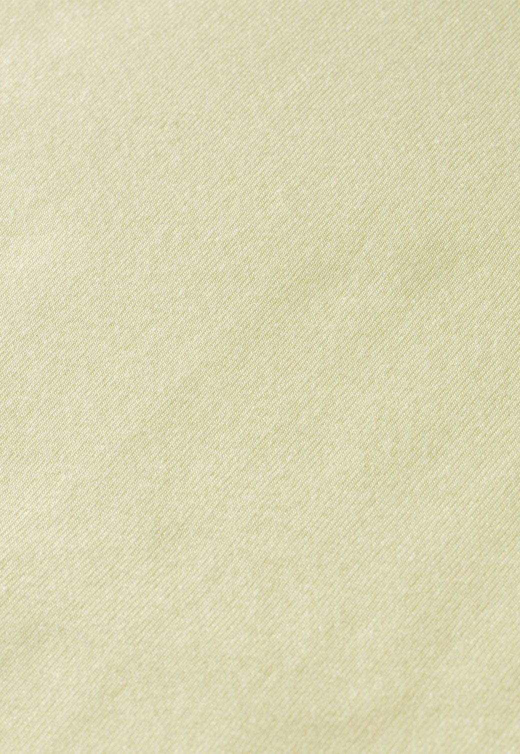 Pale Goldenrod טי שירט עם שרוולים ארוכים וצווארון גולף SCOTCH & SODA