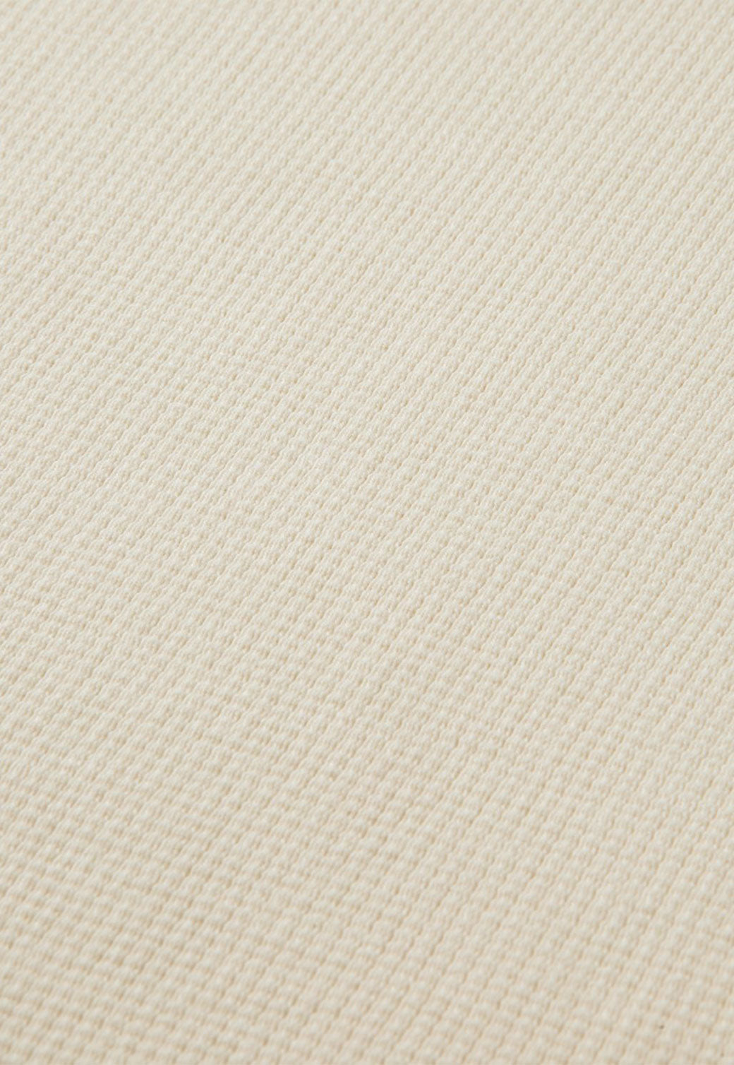 Light Gray טי שירט ארוכה בטקסטורת וופל SCOTCH & SODA