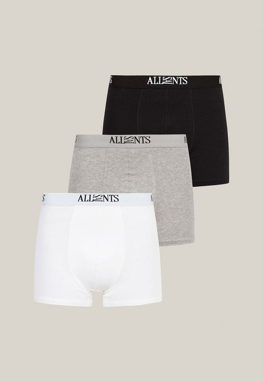 Light Gray מארז שלושה תחתונים לגברים Wren Boxer ALLSAINTS